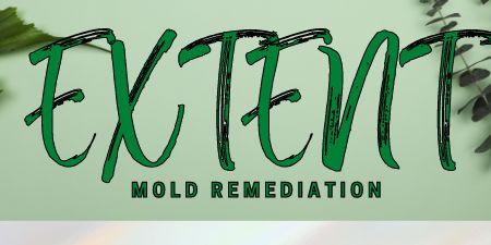 Mold Remediation Service  - Extent Mold Remediation